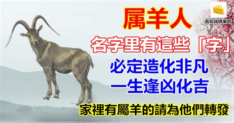 屬羊取名|生肖姓名學.....屬羊的人：適合與不適合的字